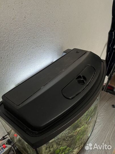 Аквариум с рыбками и растениями