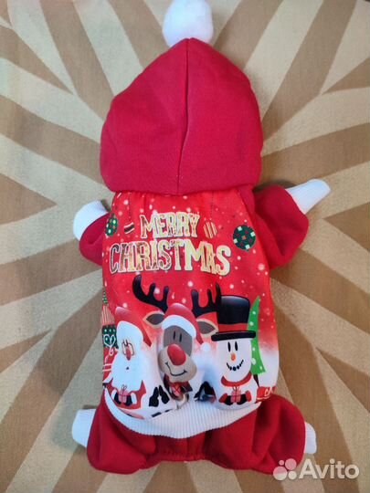 Одежда для маленьких собак