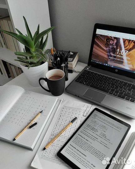 Администратор(онлайн) без опыта