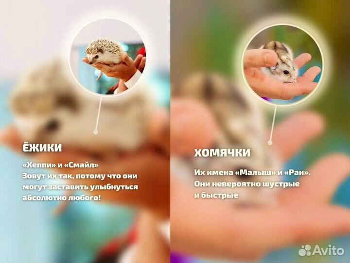 Аниматор на детский праздник Фокусник и зверюшки