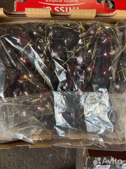 Черешня 2,5чили гигант