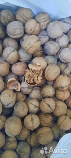 Орех грецкий