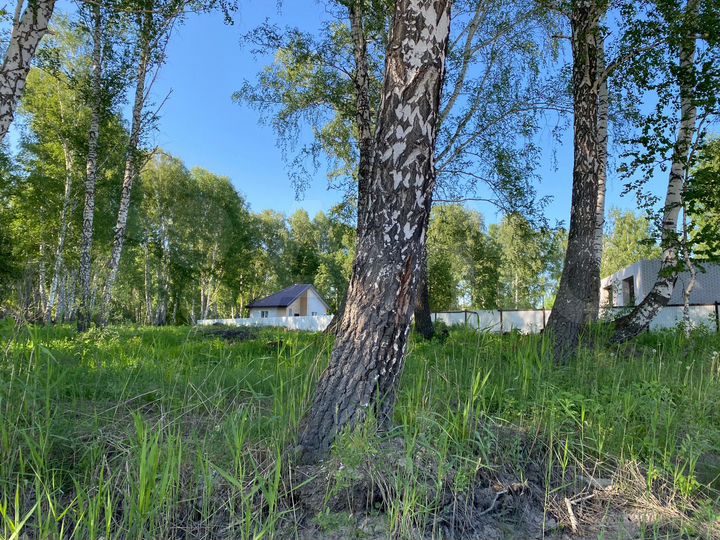 Участок 10 сот. (СНТ, ДНП)