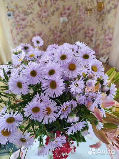 Многолетние цветы, для сада