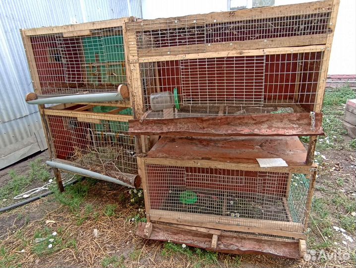 Инкубаторы