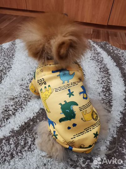 Толстовка для собак