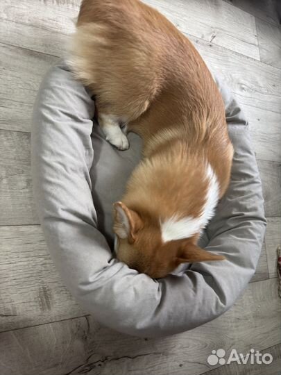 Лежанка для собак и кошек