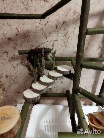 Стенд для попугая