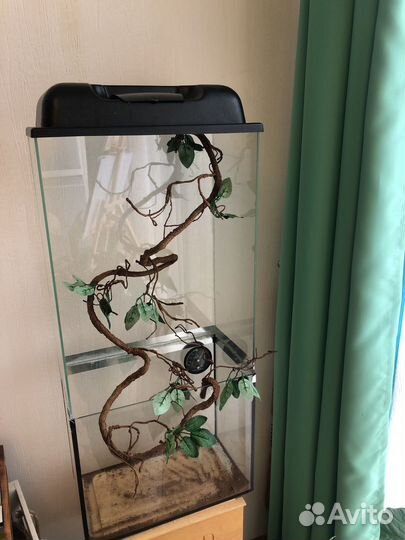 Террариум для хамелеона