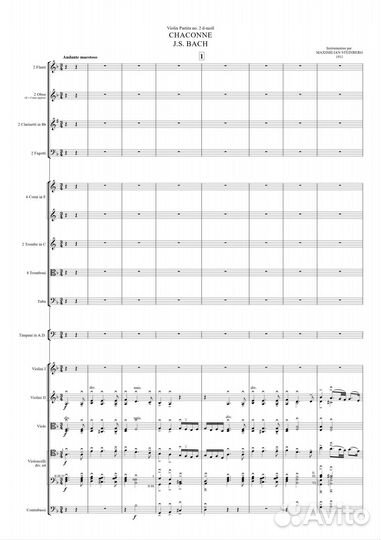 Профессиональный набор нот