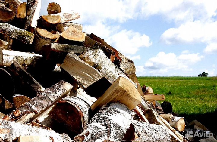 Дрова отборные