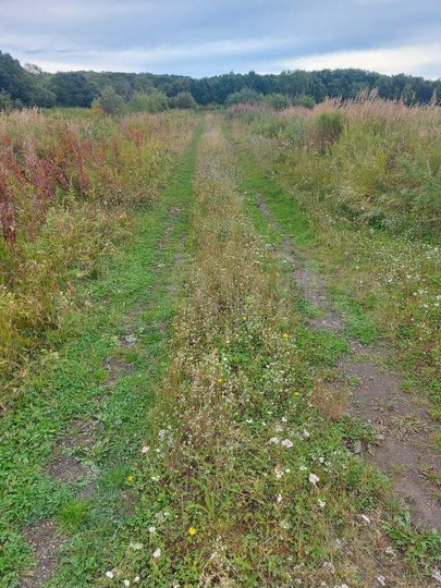 Участок 3,3 га (СНТ, ДНП)