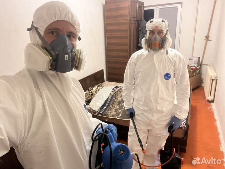 Уничтожение тараканов клопов блох мышей плесени