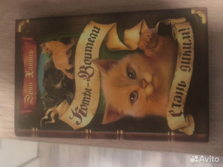 Книга Стань диким