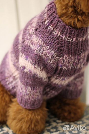 Джемпер для собак