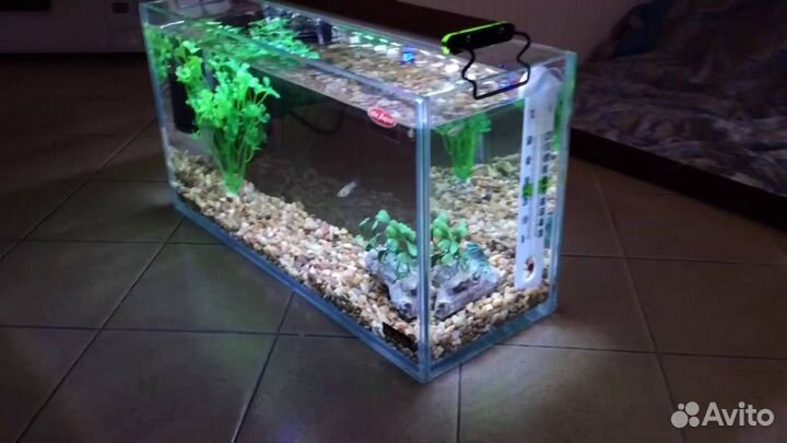 Аквариум