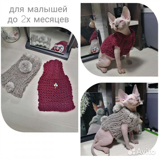 Одежда для собак и кошек