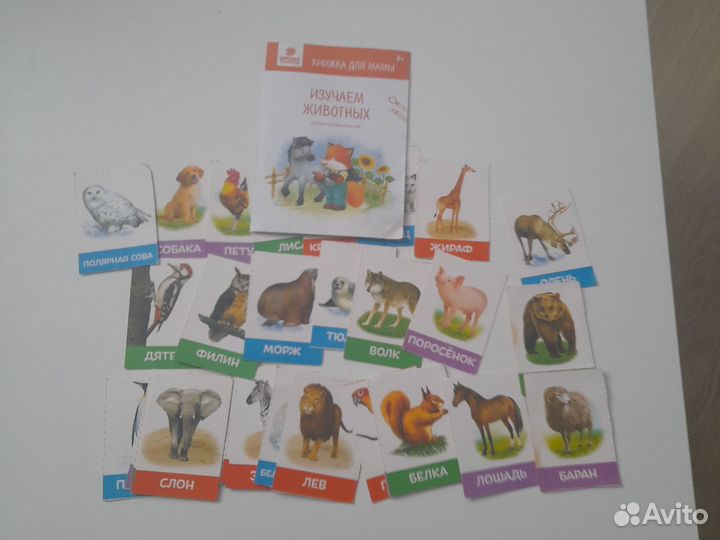 Пазлы, карточки и книги для малышей