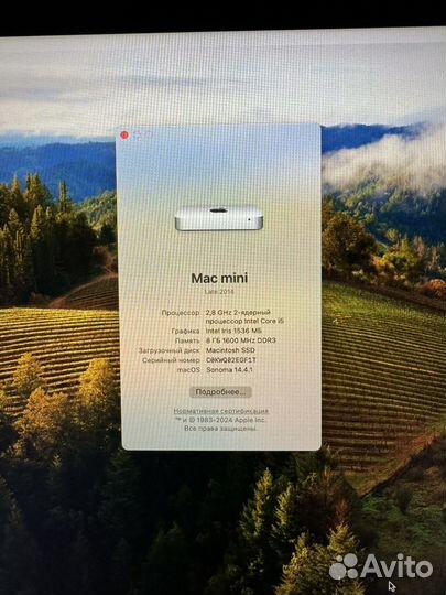 Mac mini late 2014 с nvme ssd 512 гб