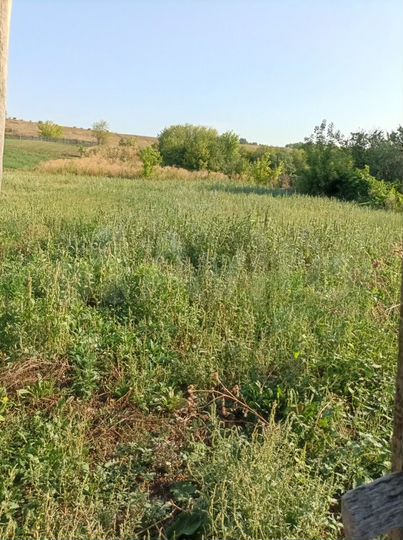 Дом 57,6 м² на участке 20 сот.