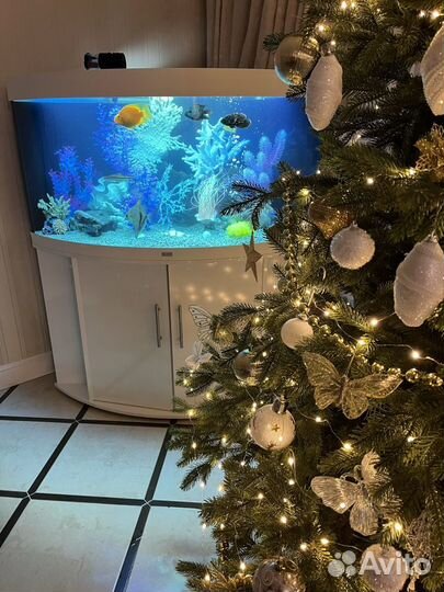 Позеленел аквариум. Обслуживание, чистка аквариума