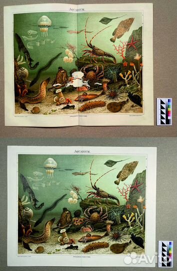 Реставрация старинных гравюр и литографий