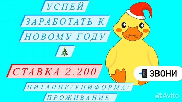 Вахта в Ростове / упаковщик мяса птицы