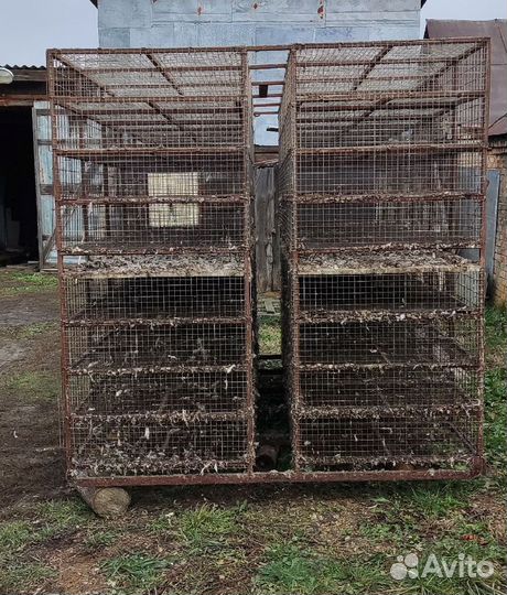 Клетка для перевозки кур цыплят утят птиц