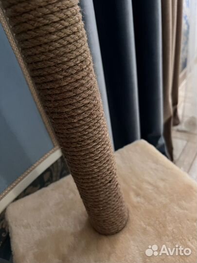 Когтеточка для кошек