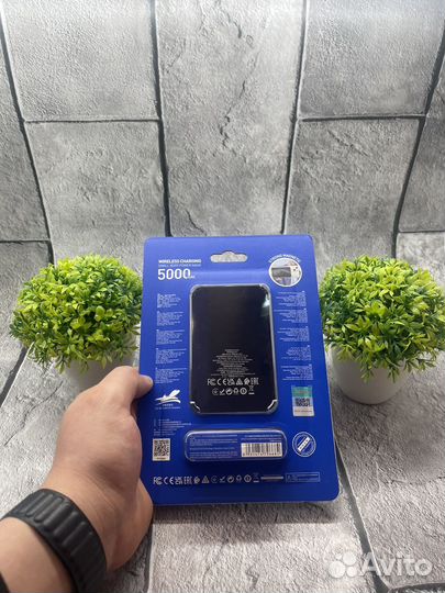 Powerbank 5000