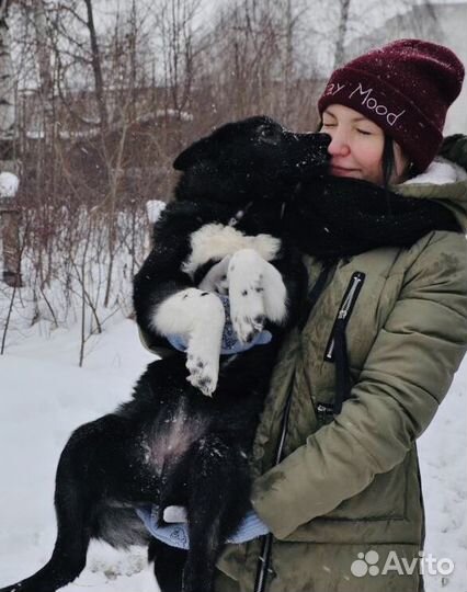 Малыш в дар