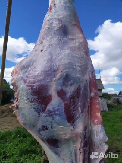 Мясо говядины молодняк деревенское