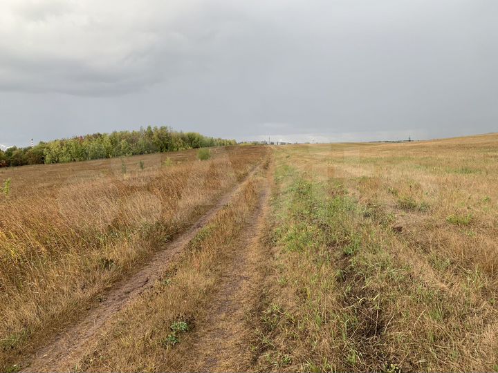 Участок 64,15 га (СНТ, ДНП)