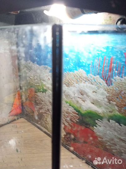 Аквариум 30 литров