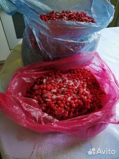 Замороженные ягоды