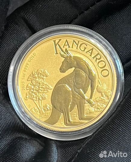 Золотая монета 