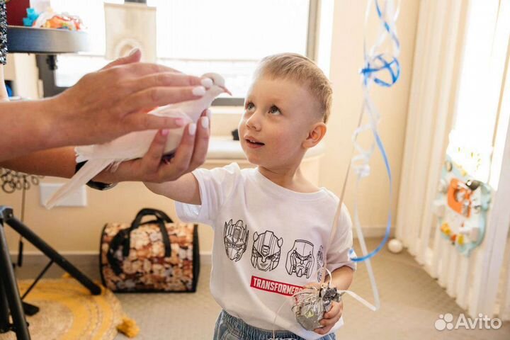 Фокусник на праздник для детей И взрослых