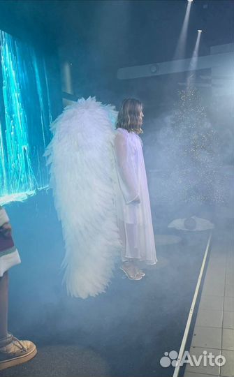 Крылья для фотосессии аренда