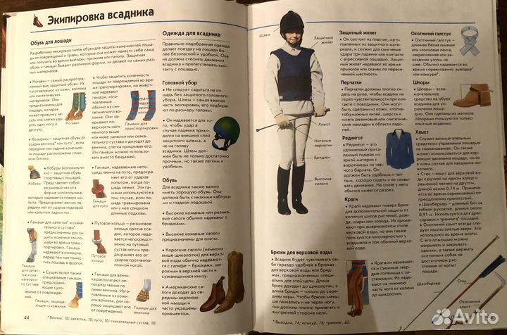 Лошади. Справочник по верховой езде