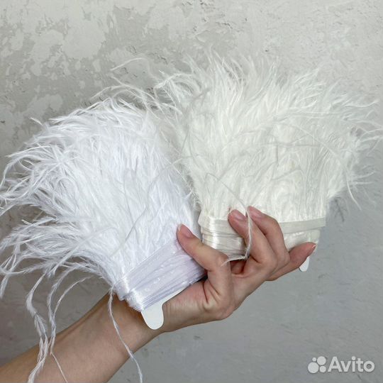 Перья страуса на ленте