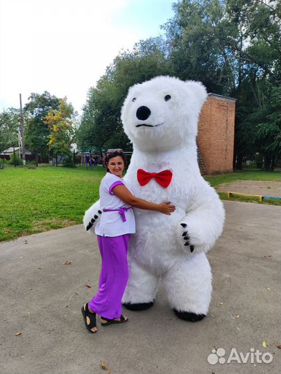 Аниматор, белый медведь, панда, ушастик и другие