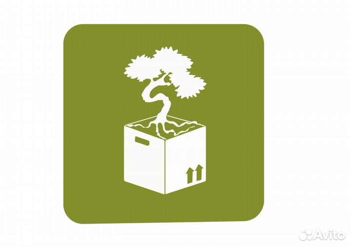 Оператор станка - оплата ежедневно