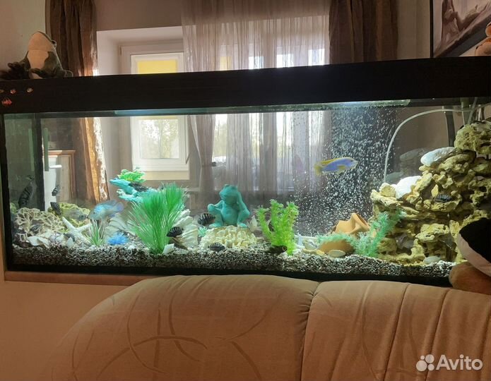 Аквариум со всеми принадлежностями и рыбками