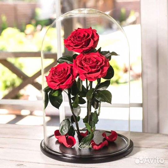 Неувядающая роза в колбе