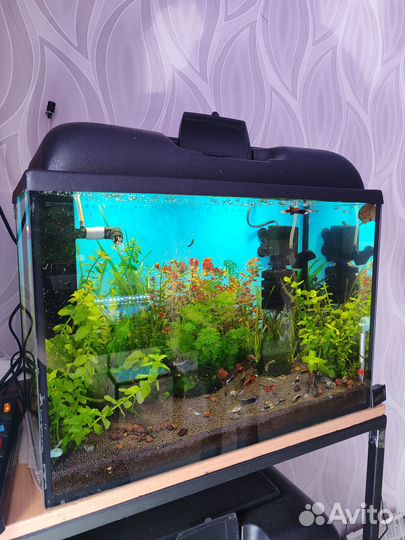 Аквариумы