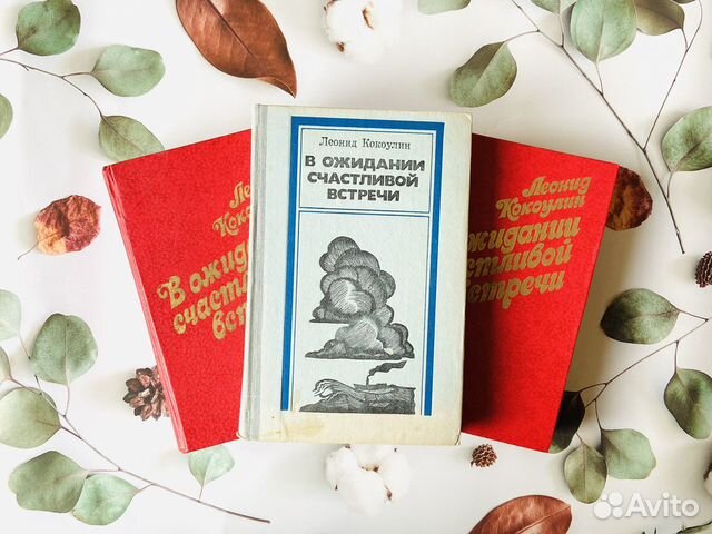 Комплект книг. Леонид Кокоулин