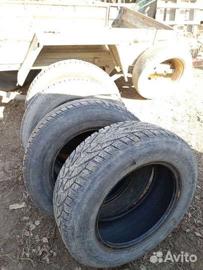 Tigar SUV Ice 215/65 R16