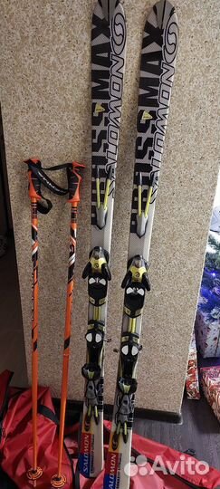 Горные лыжи