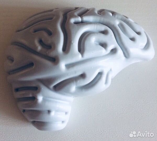 Коллекция Тело человека с детского журнала