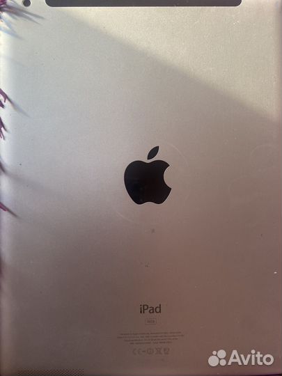 iPad